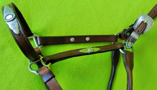 Top Quality Vintage Silver Horse Size Show Halter Made In Usa Euc Nr