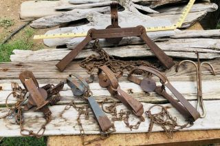5 Vintage Animal Traps Trapping Hunting Victor,  Black & Lamb,  Unknown,  1 Drag